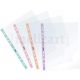 Buste a foratura universale 22x30cm colore pastel lucida superior conf.10pz  clone